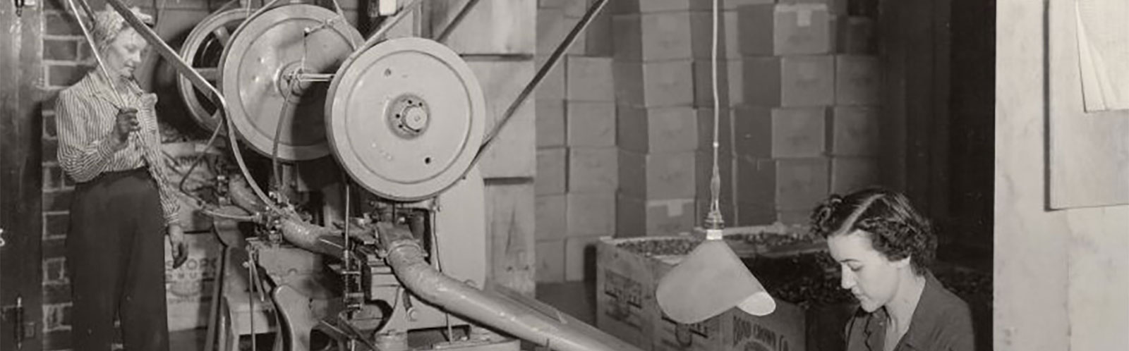 Women of the Olympia Brewery
