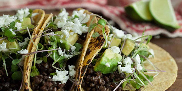 Chipotle Lentil Tacos