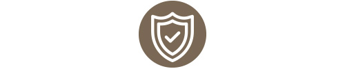 Secure Icon